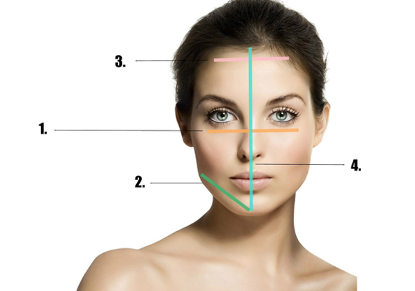 different face shapes and make-up application tips